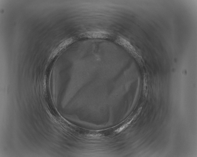 X0000084520202200703091611