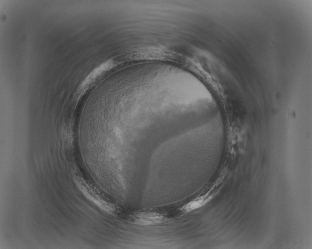 X0000084520203200703091611