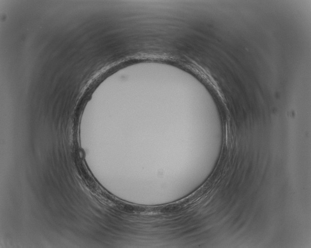 X0000084520204200703091611