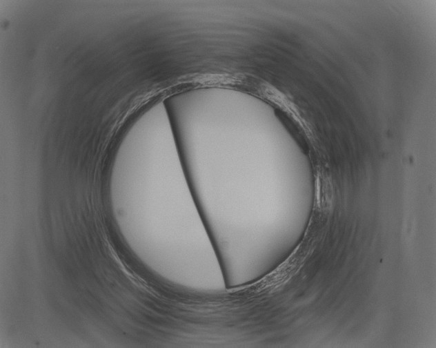 X0000084520205200703091611