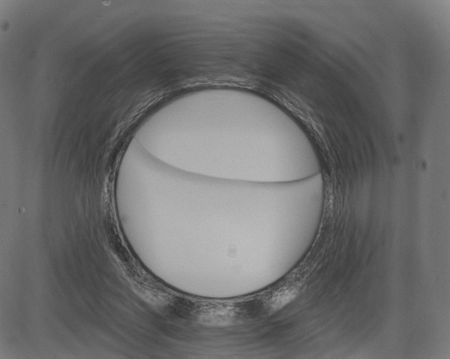 X0000084520206200703091611