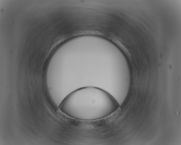 X0000084520207200703091611