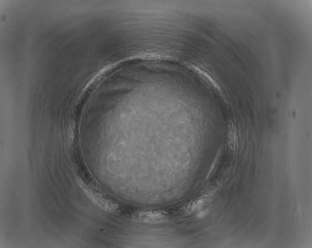 X0000084520208200703091611