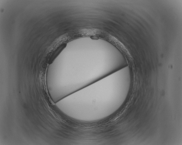 X0000084520209200703091611