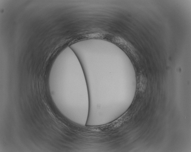 X0000084520210200703091611