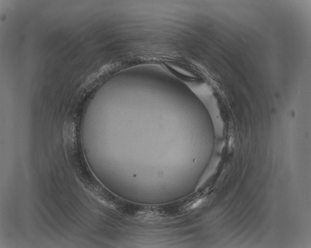 X0000084520211200703091611