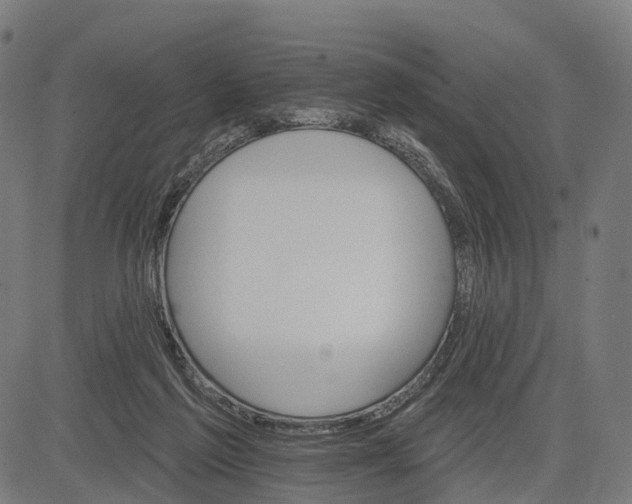 X0000084520213200703091611