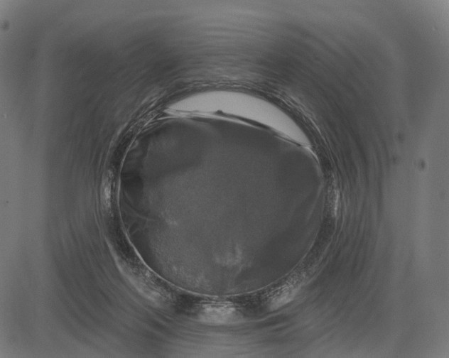 X0000084520214200703091611