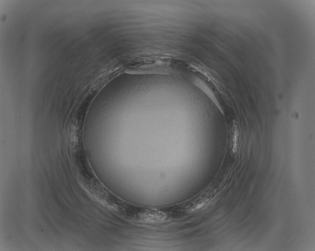 X0000084520215200703091611