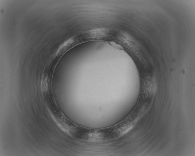 X0000084520216200703091611