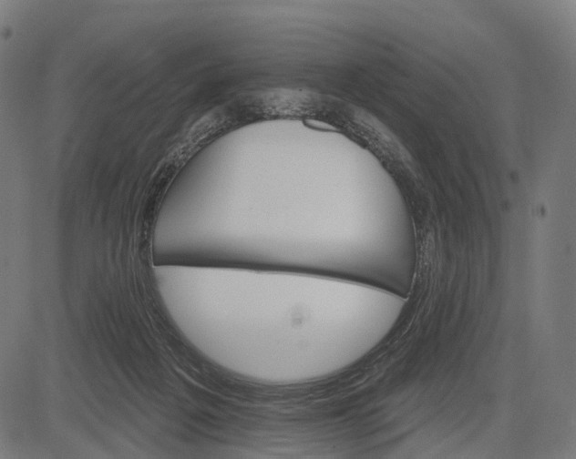 X0000084520217200703091610