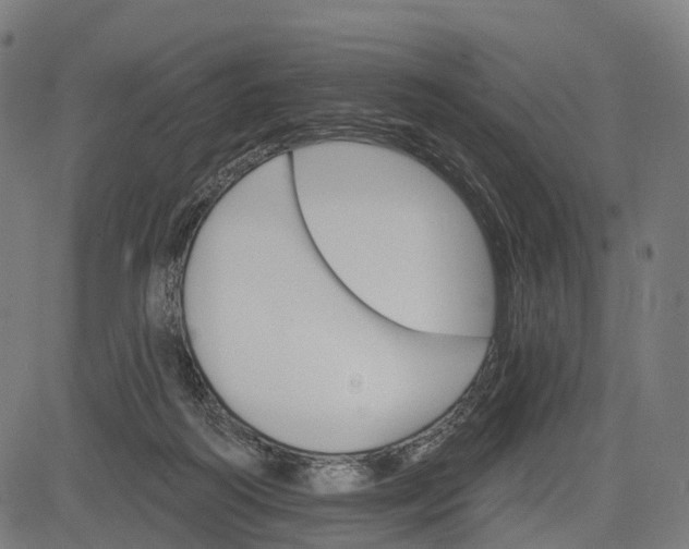 X0000084520218200703091610