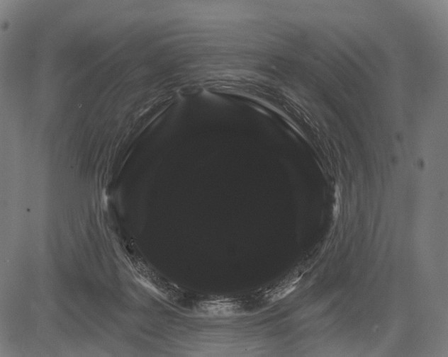 X0000084520219200703091610