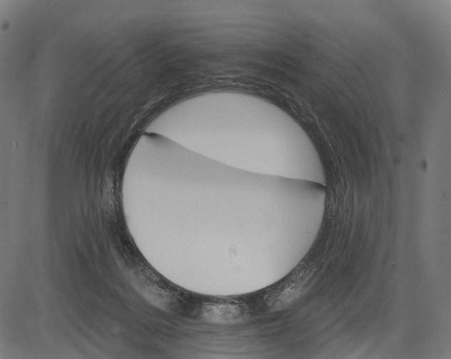 X0000084520220200703091610