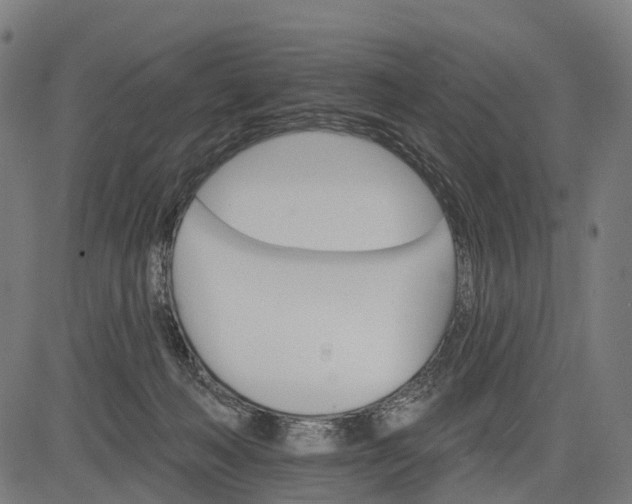 X0000084520222200703091610