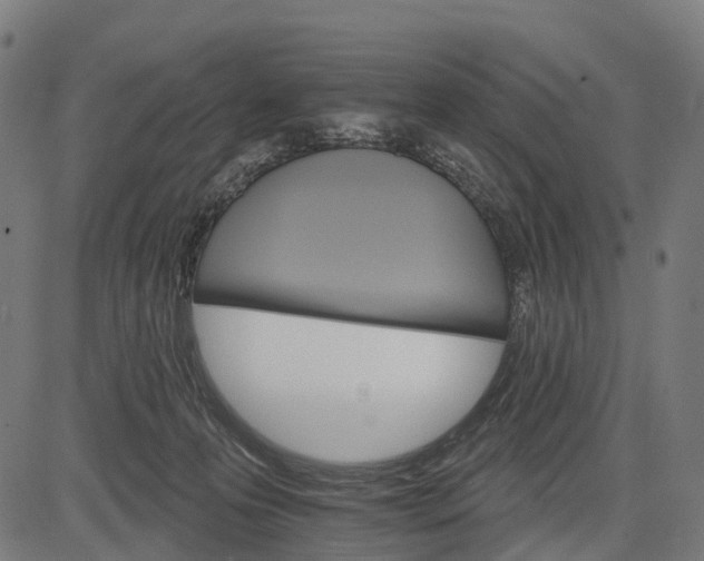 X0000084520223200703091610