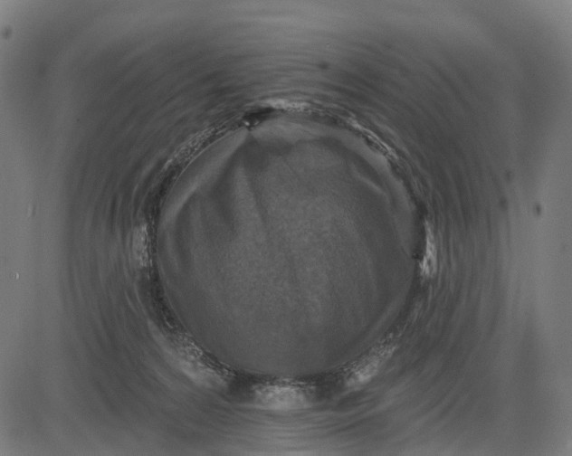 X0000084520224200703091610