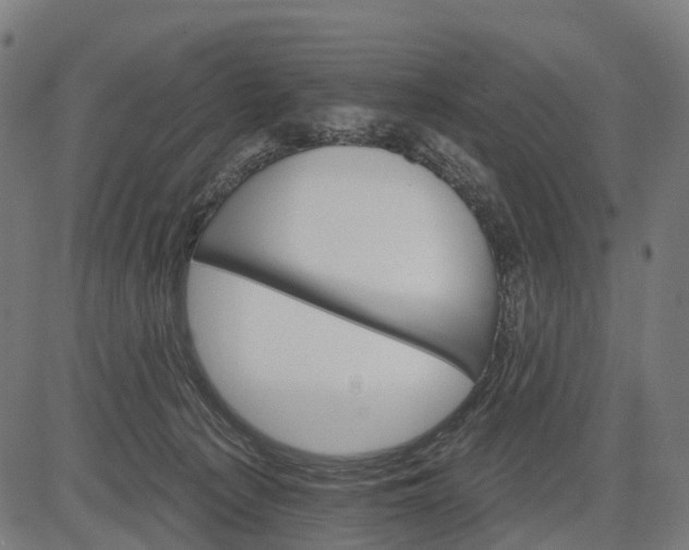 X0000084520225200703091610