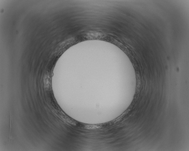 X0000084520226200703091610