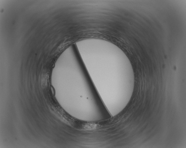 X0000084520227200703091610