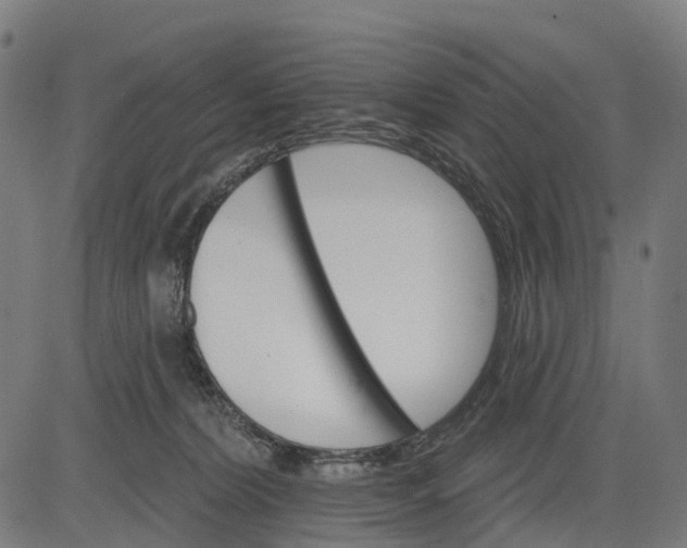 X0000084520228200703091610