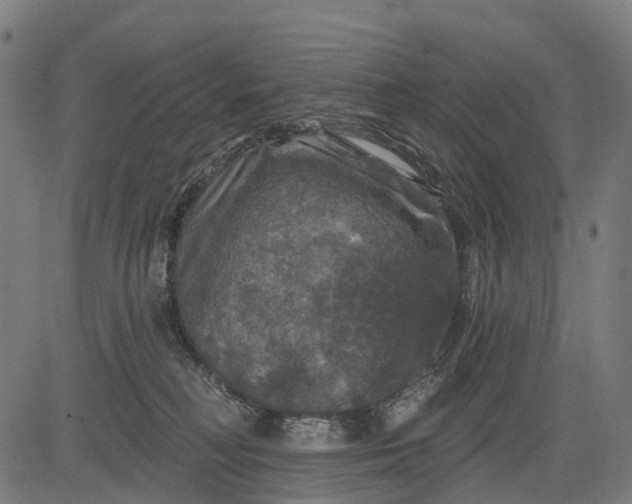 X0000084520230200703091610