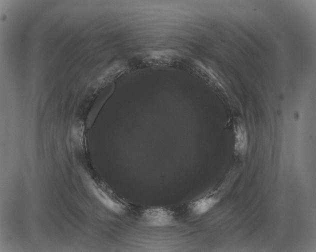 X0000084520231200703091610