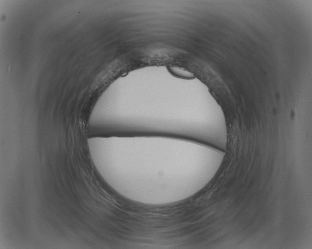 X0000084520232200703091610