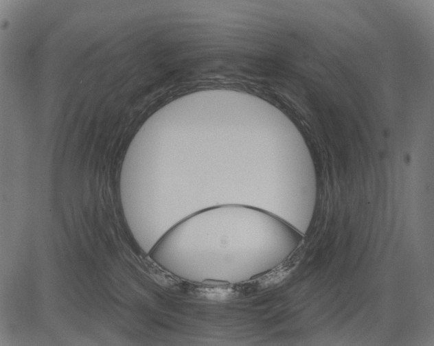 X0000084520233200703091610