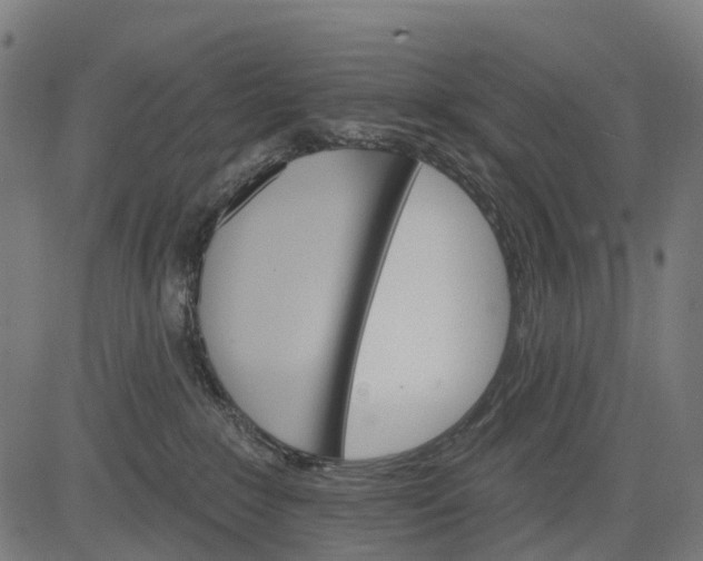 X0000084520235200703091610