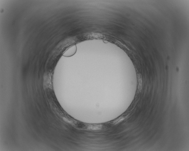 X0000084520236200703091610