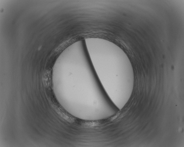 X0000084520237200703091610