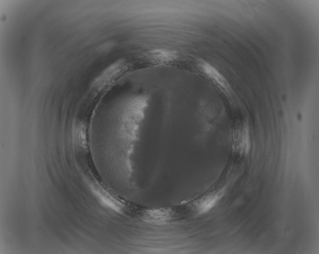 X0000084520238200703091610