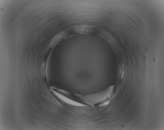 X0000084520239200703091610