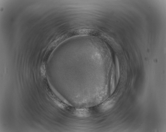 X0000084520240200703091610