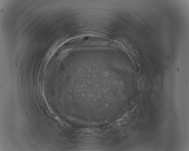 X0000084520241200703091609