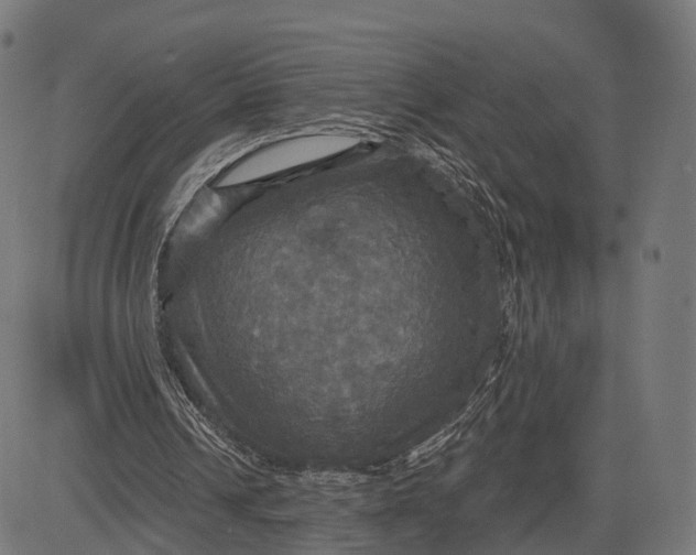 X0000084520242200703091609