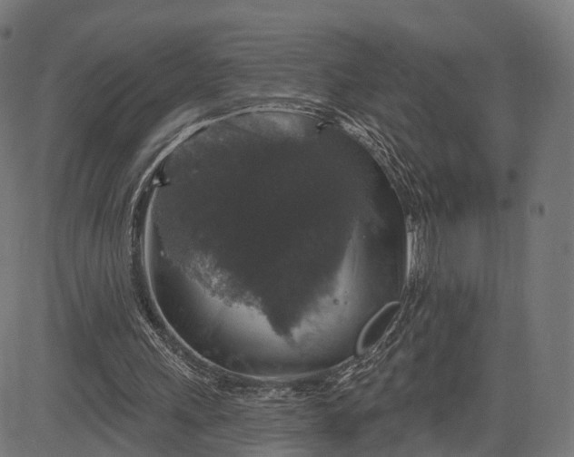 X0000084520243200703091609