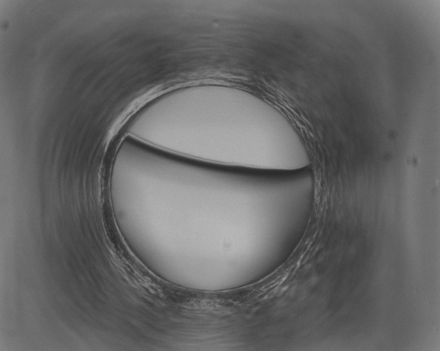 X0000084520244200703091609