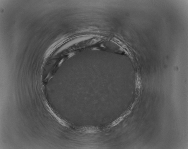 X0000084520245200703091609