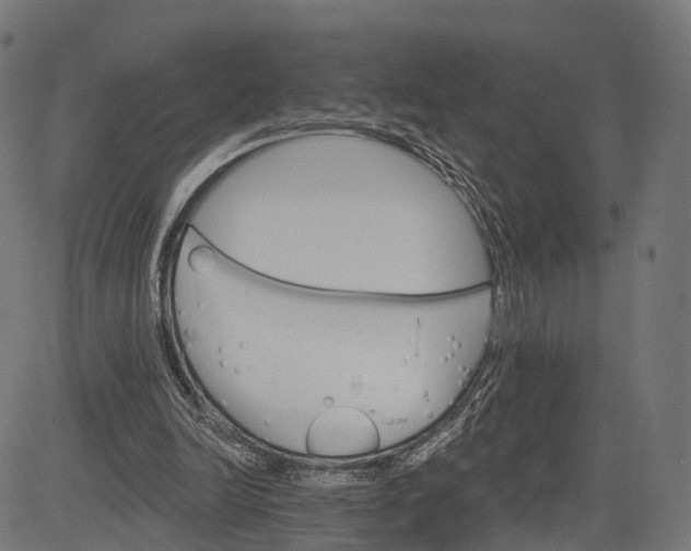 X0000084520246200703091609