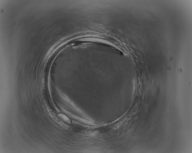 X0000084520247200703091609