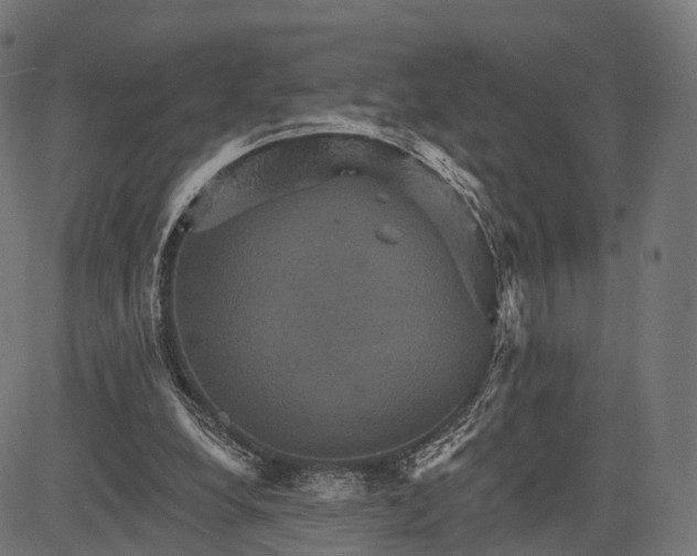 X0000084520248200703091609