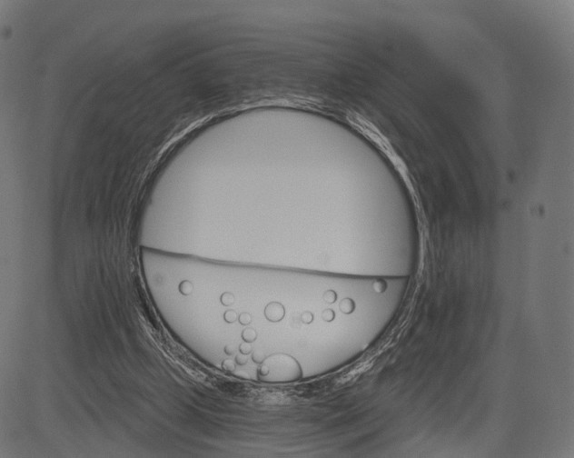 X0000084520249200703091609