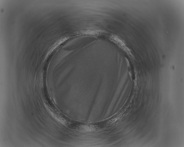 X0000084520250200703091609