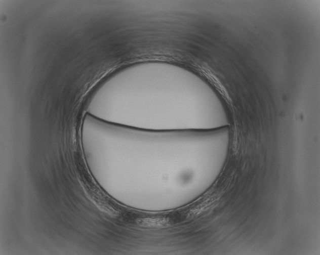 X0000084520251200703091609