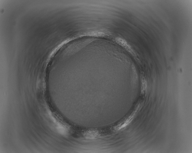 X0000084520252200703091609