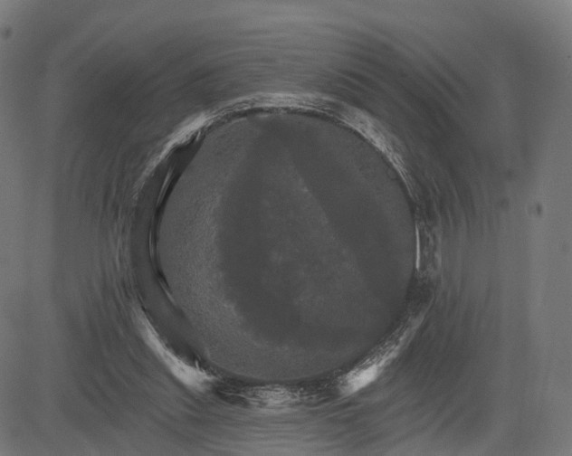 X0000084520253200703091610