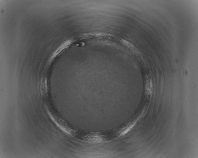 X0000084520254200703091610