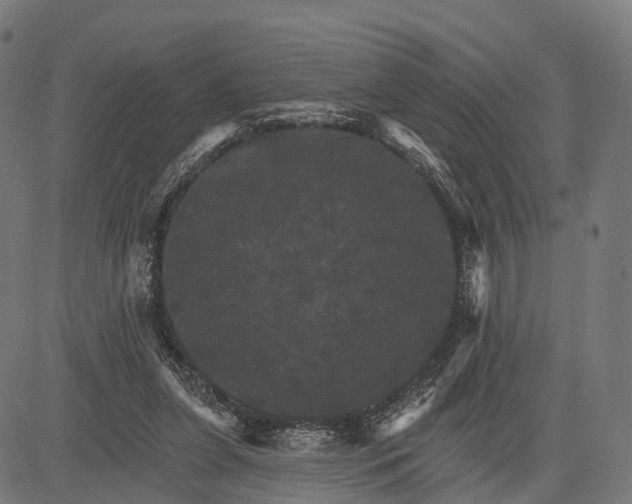 X0000084520255200703091610